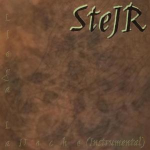 อัลบัม Llega La Noche (Instrumental) ศิลปิน Stejr