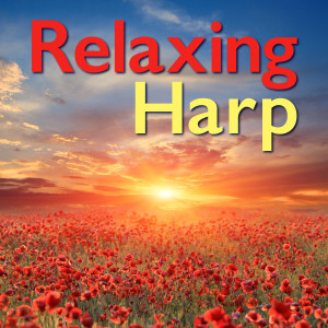 Listen to Relaxing Mind Music song with lyrics from Sound Therapy Musicians