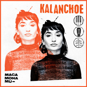 Album Kalanchoe from Maca Mona Mu