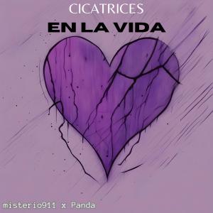 Album Cicatrices en la Vida oleh Panda