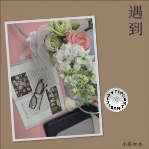 Listen to 遇到 (cover: 方雅贤) (完整版) song with lyrics from 小巫木木