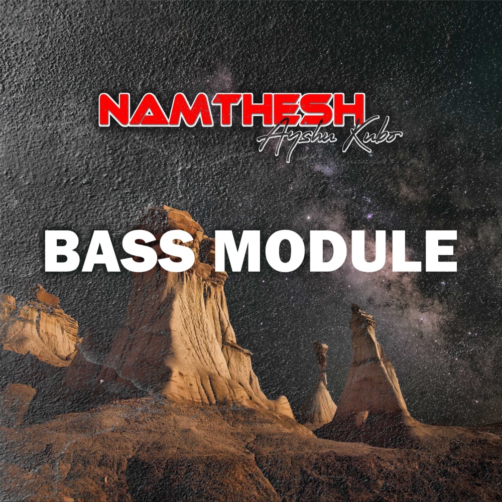 Bass Module