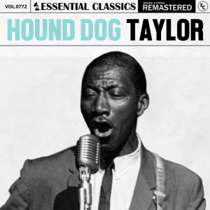 ดาวน์โหลดและฟังเพลง Roll Your Moneymaker พร้อมเนื้อเพลงจาก Hound Dog Taylor