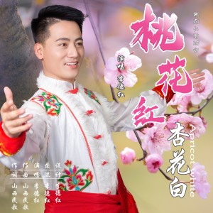 Album 桃花红杏花白 from 李德红