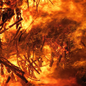 收聽Young Cray SA的Trappin Out da Banddo (Explicit)歌詞歌曲