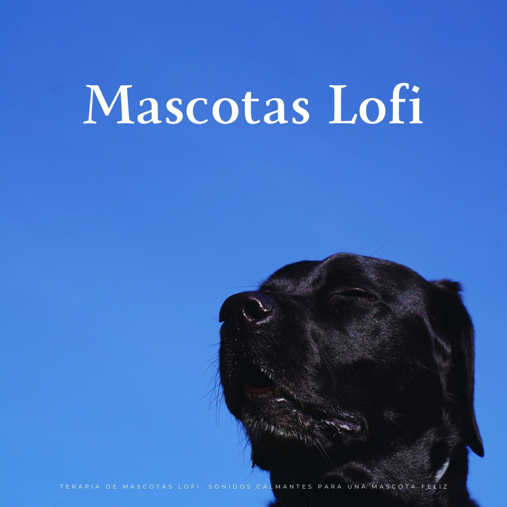 Mejor Armonía Para Mascotas
