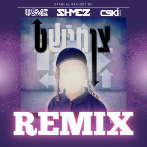 Shmili Landau的專輯Tzimisht Remixes