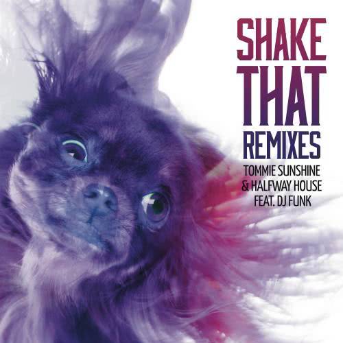 Shake That (Hedo Remix)