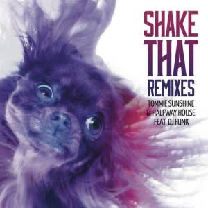 收聽Tommie Sunshine & Disco Fries的Shake That (ATICA Remix)歌詞歌曲