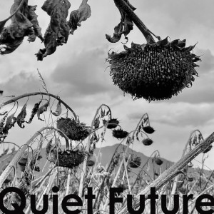 收聽HIIRO的Quiet Future歌詞歌曲