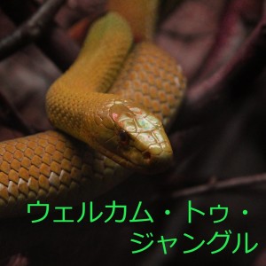 收聽遠藤 章史的エターナル歌詞歌曲