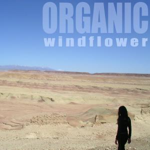 收聽Windflower的Don´t Leave Me歌詞歌曲