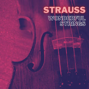 Album Strauss Wonderful Strings from Johann Strauss