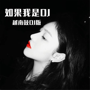 Listen to 如果我是DJ (越南鼓版) song with lyrics from DJ多多