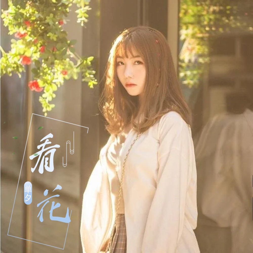 看花 (伴奏)