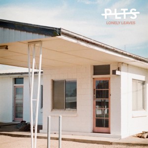 Dengarkan Without You lagu dari PLTS dengan lirik