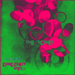 ดาวน์โหลดและฟังเพลง Going Crazy พร้อมเนื้อเพลงจาก YMB