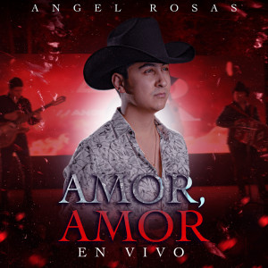 Listen to Amor Amor (En Vivo) song with lyrics from Angel Rosas