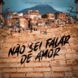 Listen to Não Sei Falar de Amor song with lyrics from Mc Magrello