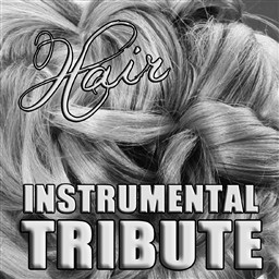 ดาวน์โหลดและฟังเพลง Hair (Lady GaGa Tribute) พร้อมเนื้อเพลงจาก Fashion First