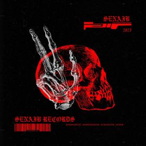 收聽SenaiB的SUNSET OVERDRIVE (feat. CYGNUS)歌詞歌曲