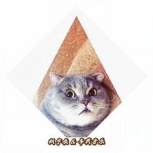 枫宇辰的專輯車載搖頭