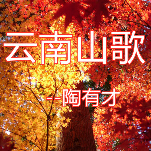 ดาวน์โหลดและฟังเพลง 云南山歌 พร้อมเนื้อเพลงจาก 陶有才