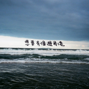 Listen to 想要有个避风港 song with lyrics from 老王乐队