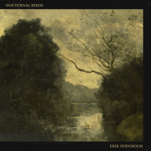 ดาวน์โหลดและฟังเพลง Nocturnal Birds พร้อมเนื้อเพลงจาก Erik Fernholm