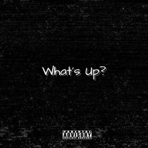 Listen to What's up? (Explicit) song with lyrics from Dumbperson