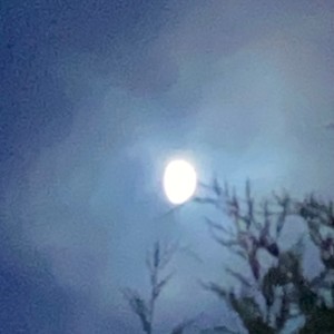 收聽Henri Guy的Without Favor歌詞歌曲