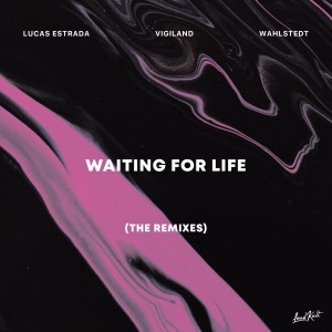 อัลบัม Waiting for Life (The Remixes) ศิลปิน Vigiland