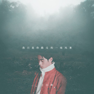 ดาวน์โหลดและฟังเพลง 我只是你路過的一場風景 พร้อมเนื้อเพลงจาก 王小帅