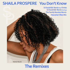 Dengarkan lagu You Don't Know (DJ Soulchild Remix) nyanyian Shaila Prospere dengan lirik