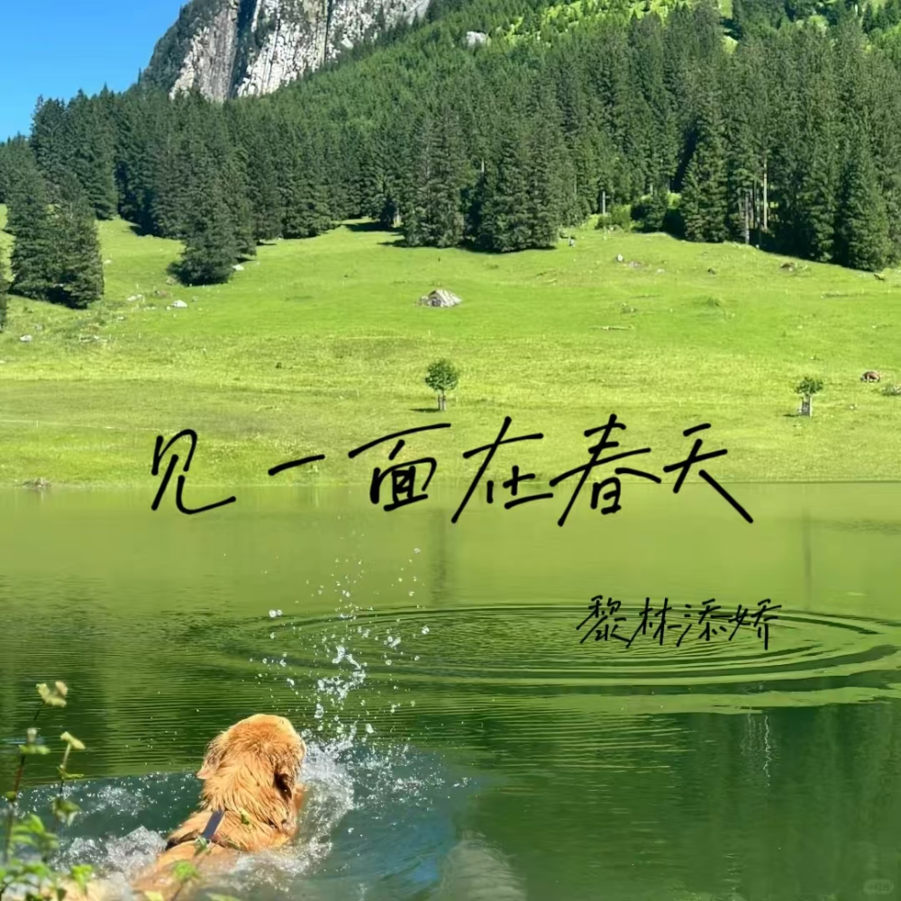 见一面在春天