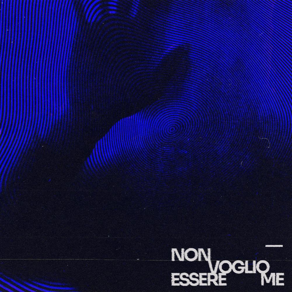 Non Voglio Essere Me (Explicit)