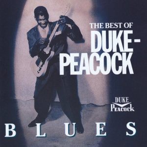 ดาวน์โหลดและฟังเพลง Let Your Tears Fall Baby พร้อมเนื้อเพลงจาก Big Mama Thornton