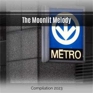 ดาวน์โหลดและฟังเพลง Purposex พร้อมเนื้อเพลงจาก Shirley Techno