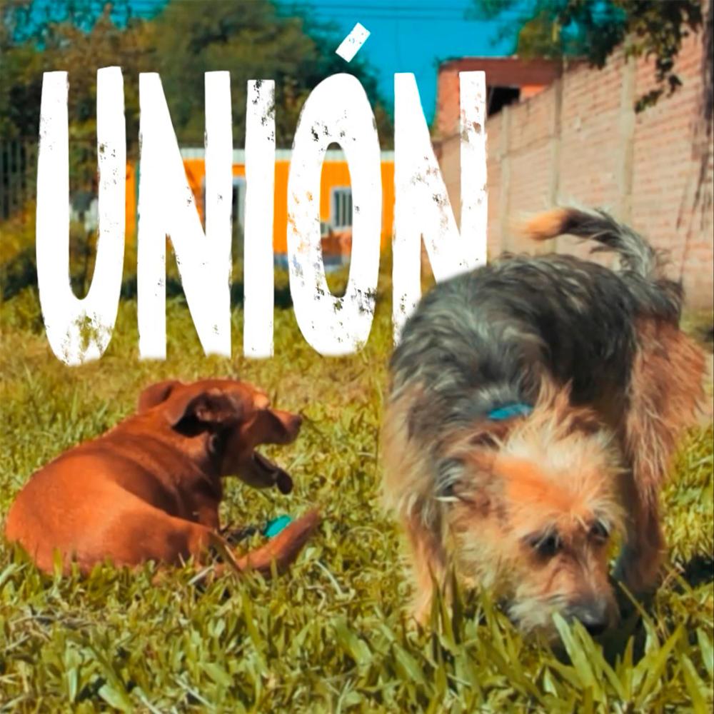 Unión