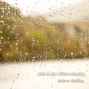 Listen to 겨울 아침 빗소리 Rain in the Winter Morning song with lyrics from 네이쳐콜링
