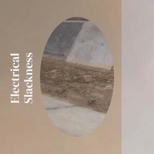 Album Electrical Slackness from Various