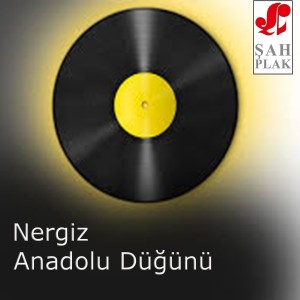 อัลบัม Anadolu Düğünü ศิลปิน Nergiz