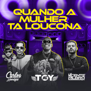 收聽Dj Carlos Henrique的Quando a Mulher Ta Loucona歌詞歌曲