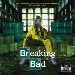 Listen to Intro (Explicit) song with lyrics from PC Platinum Child
