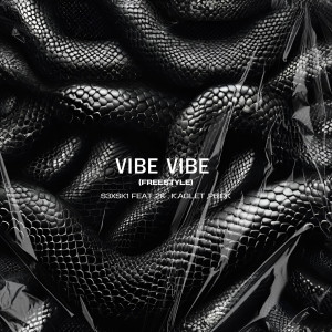 P6ICK的專輯Vibe Vibe (Freestyle) [Explicit]