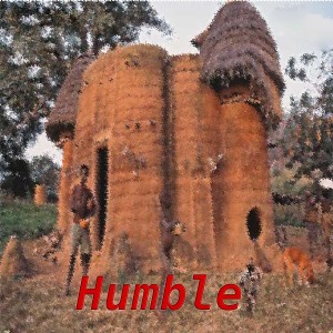 收聽Zeliwipin的Humble歌詞歌曲