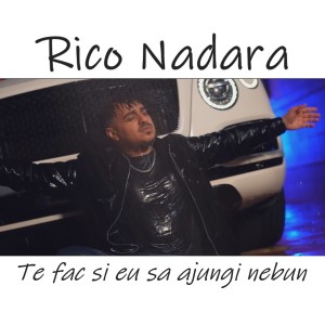 Listen to Te fac si eu sa ajungi nebun song with lyrics from Rico Nadara