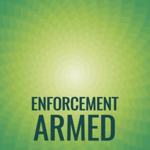 Various Artists的專輯Enforcement Armed