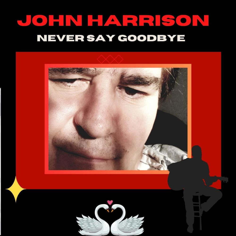 NEVER SAY GOODBYE
