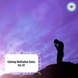 Album Calming Meditation Tunes, Vol. 01 oleh Various